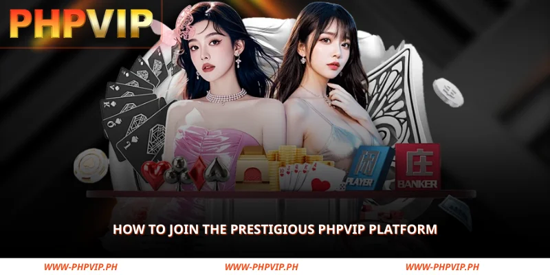simple steps to join phpvip and start your premium experience